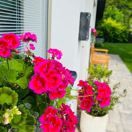 Apartmán 4 Valečov-zásadka 7 *